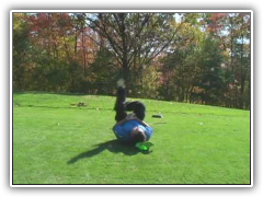 Golf Shot Accident