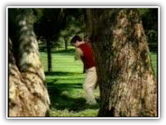 Golf Accident
